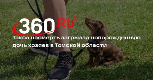 Такса насмерть загрызла новорожденную дочь хозяев в Томской области
