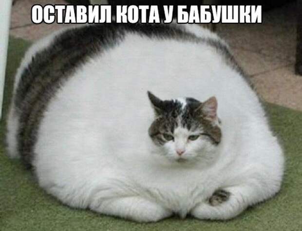 1453486498_foto-19