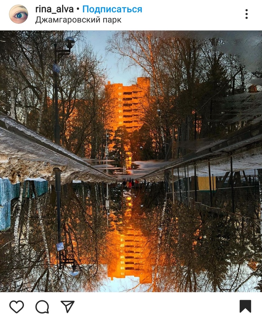 Фото дня: в Джамгаровском парке в луже открылся портал в Зазеркалье