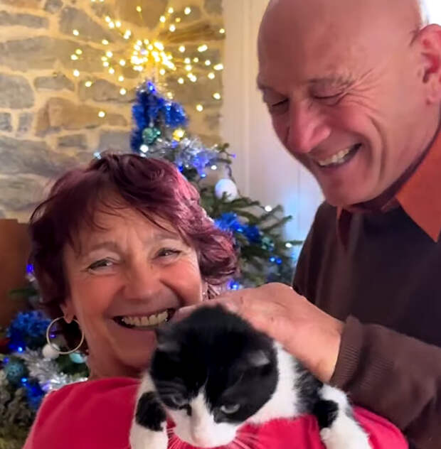 Источник фото: Oddity Central