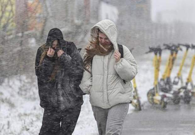Зима вернулась: в Краснодарском крае до конца недели ударят заморозки