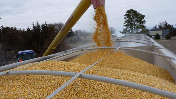 Румыния с конца апреля вывезла более 240 тыс. тонн зерновых с Украины