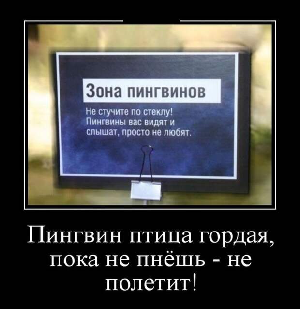 Демотиваторы (30 фото)