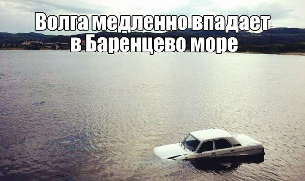 Смешные картинки и веселые фото с надписью со смыслом (11 фото) Смешные картинки и веселые фото с надписью со смыслом (11 фото)