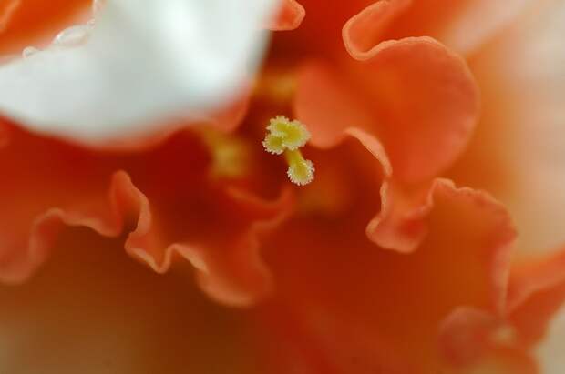 Есть только миг между прошлым и будущем... Есть только миг между прошлым и будущем...