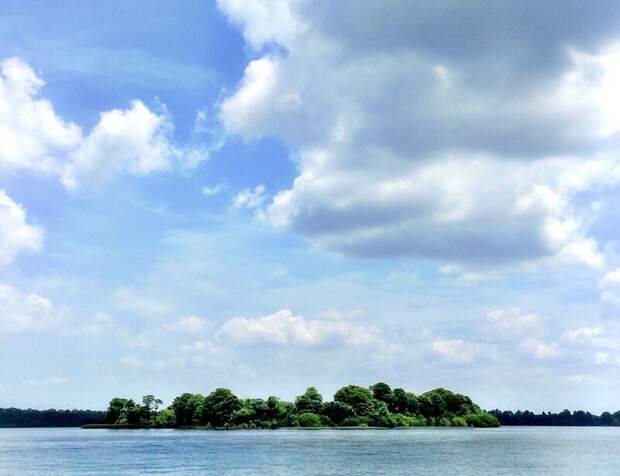 Остров открытий (Discovery Island)