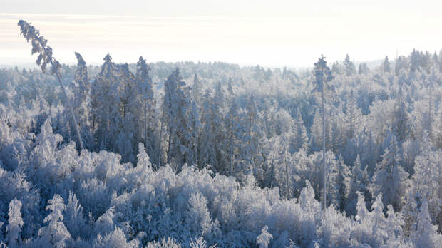 Дмитрий Патрушев: бизнес играет важную роль в охране природы России