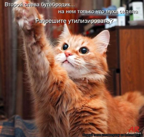 Котоматрицы(картинки с подписями)