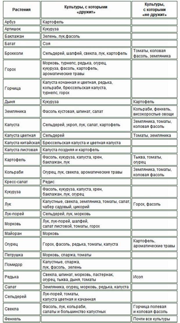 Соседство овощей на грядках таблица. Таблица севооборота овощных культур на огороде. Что можно сажать после перца болгарского. Лучшие предшественники для огурцов. Таблица посева овощей после предшественника.