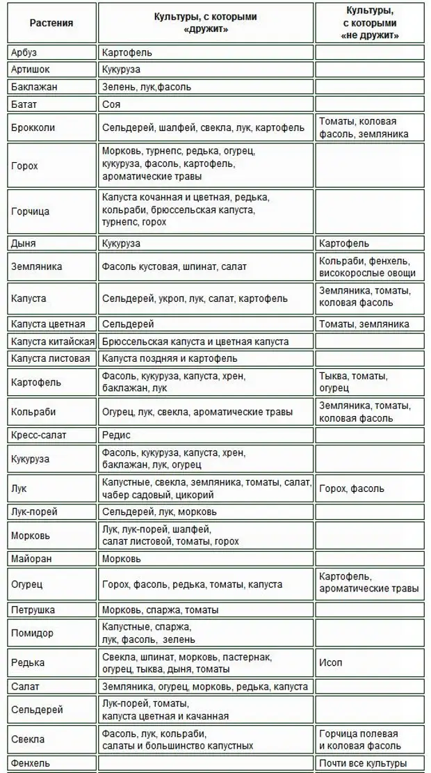 Что можно сажать после петрушки. Совместимость овощей на огороде. Совместимость посадки овощей в огороде на грядках. Таблица совместимости растений на грядке. Таблица совместимости овощных растений.
