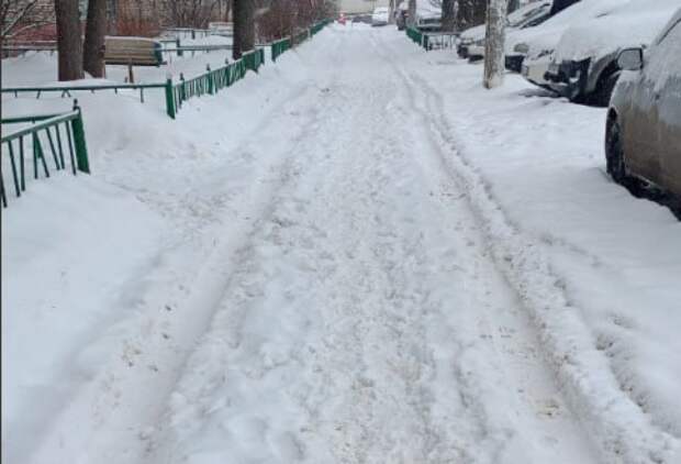В Тульской области за праздники выпало 26 сантиметров снежного покрова
