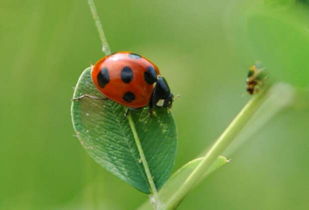 Есть только миг между прошлым и будущем... Есть только миг между прошлым и будущем...