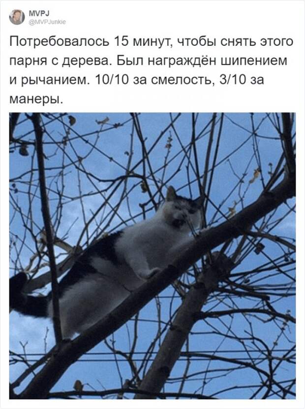 www.vsyako.net