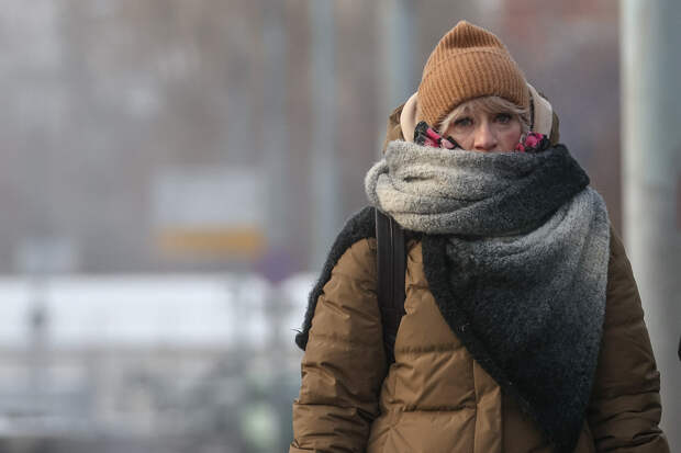 МЧС предупредило о предстоящих ночных и утренних заморозках в Подмосковье