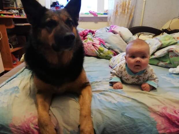 собака с ребёнком