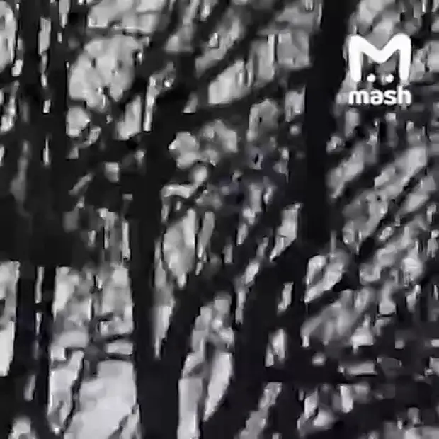 Момент уничтожения украинского Су-25, предположительно, под Черниговом.