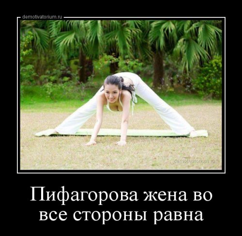 Весёлый сборник демотиваторов (29 шт)