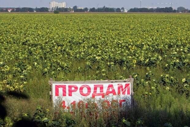 До Европы на телеге с волами: Россия перекрыла Украине нефть с большими последствиями