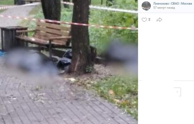 На Псковской улице обнаружена женщина в окружении мертвых мужчин