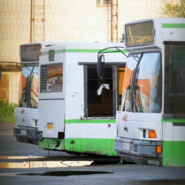 Московские МАЗы-107 в трупном ряду. Автобусы по краям встали с поломками уже здесь, а вот стоящий посередине даже в эксплуатацию не запустили Арзамас, ЛиАЗ 677, автобус, автомир, лиаз, общественный транспорт, ретро техника