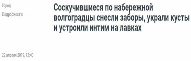 Что у вас там в Волгограде происходит? журналисты, заголовки, маразмы, непонтяное, новости, прикол, странное, фейк, юмор