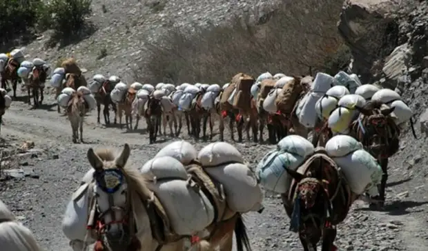 Брюс, часы и страшные пророчества