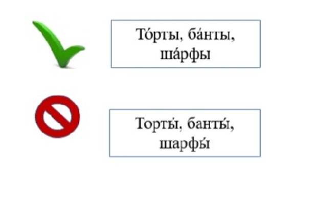 Ударим по ударениям: топ-20 слов, которые мы часто произносим неправильно