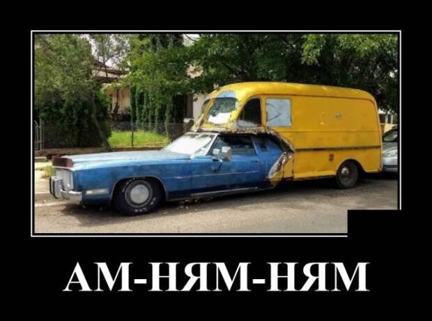 Демотиваторы 19 августа 2020