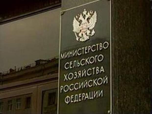 Минсельхоз попросил дополнительно 636 млрд рублей Минсельхоз попросил дополнительно 636 млрд рублей
