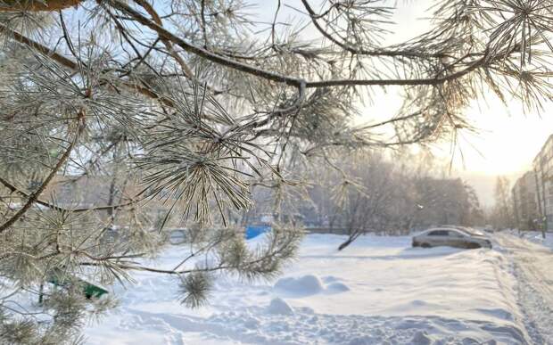 В Рязанской области ночью будет до -27 градусов