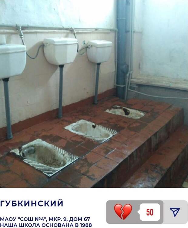 Domestos отремонтирует худший школьный туалет России. От вида конкурсантов хочется кричать