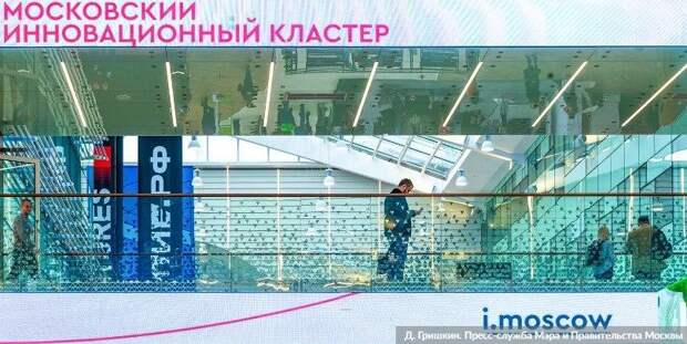 В Москве заработал новый онлайн-сервис для бизнеса — Сергунина