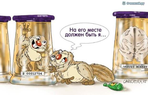 Карикатуры из жизни 11
