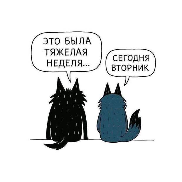 Донецкая группа новостей, Донецк ДНР