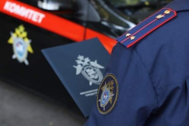 В центральный аппарат СК России доложат о ходе расследования уголовного дела по факту убийства ребенка в Санкт-Петербурге