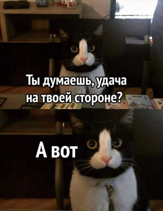 А вот А вот