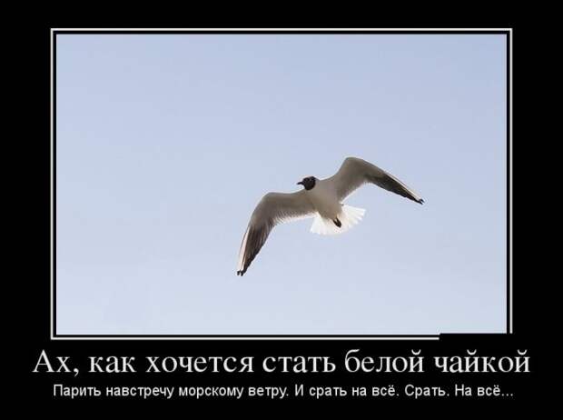 Демотиваторы (30 фото) Демотиваторы (30 фото)