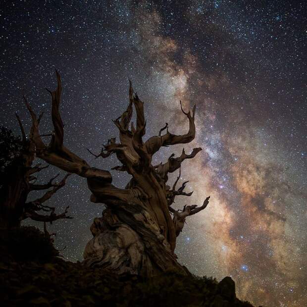 Впечатляющие астрофотографии от Джека Фуско