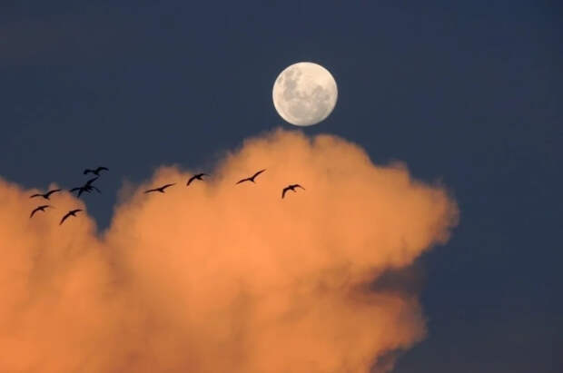 Ученые США рассказали о новой цели NASA на Луне