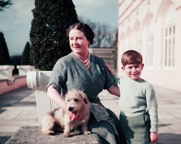 Елизавета вместе с любимым внуком Чарльзом в 1954 году