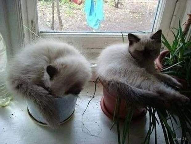 Приятно, когда тебя ждут