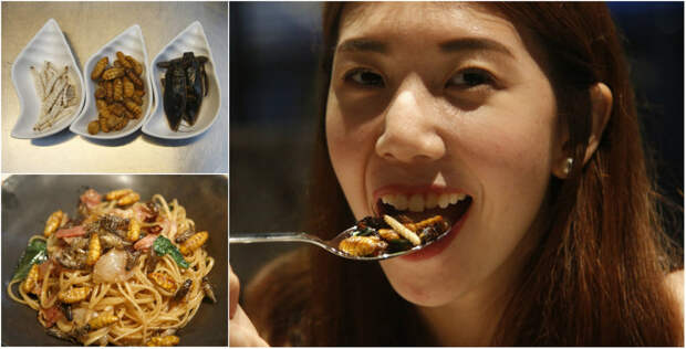 Приятного аппетита: тайские блюда из насекомых