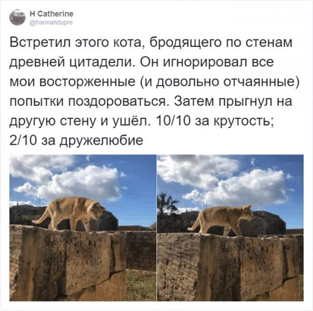 www.vsyako.net