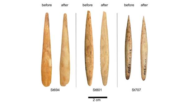 Роговые артефакты эпохи верхнего палеолита стали источником древней ДНК