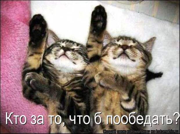 Котоматрица 20 (700x524, 57Kb)