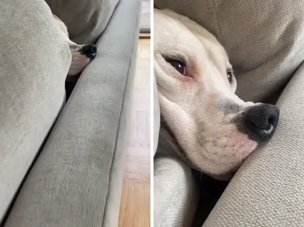 ?