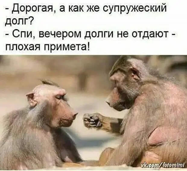Врач в психбольнице разгадывает кроссворд:- Так...