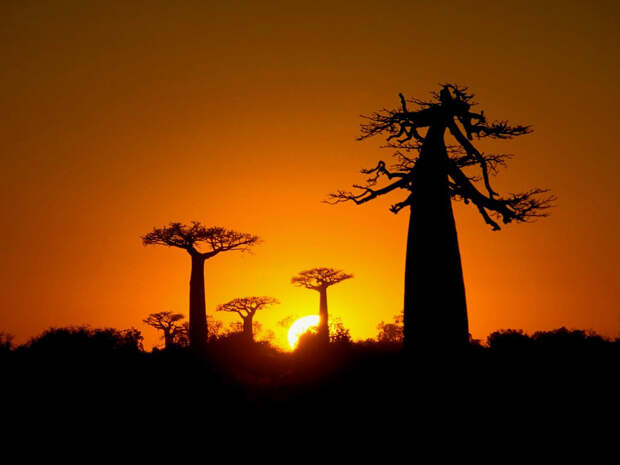 красивые фото Мадагаскара