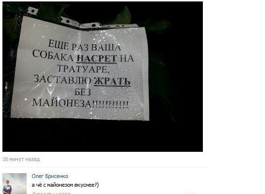 Да, фанаты майонеза - они такие Да, фанаты майонеза - они такие