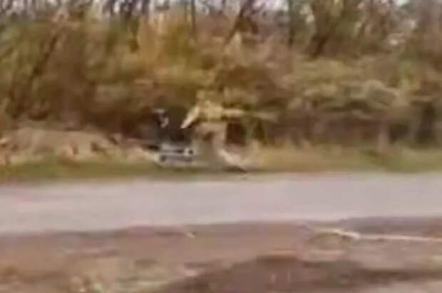 Снайперши на колесах: в зоне СВО попались велосипедистки-убийцы из ВСУ